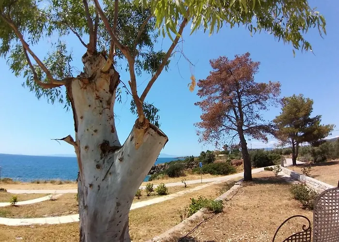 Maniatiko Tatil Evi *